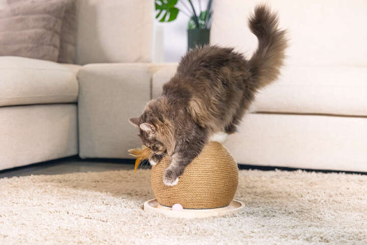 Designed by Lotte Kratz- und Spielball Mila